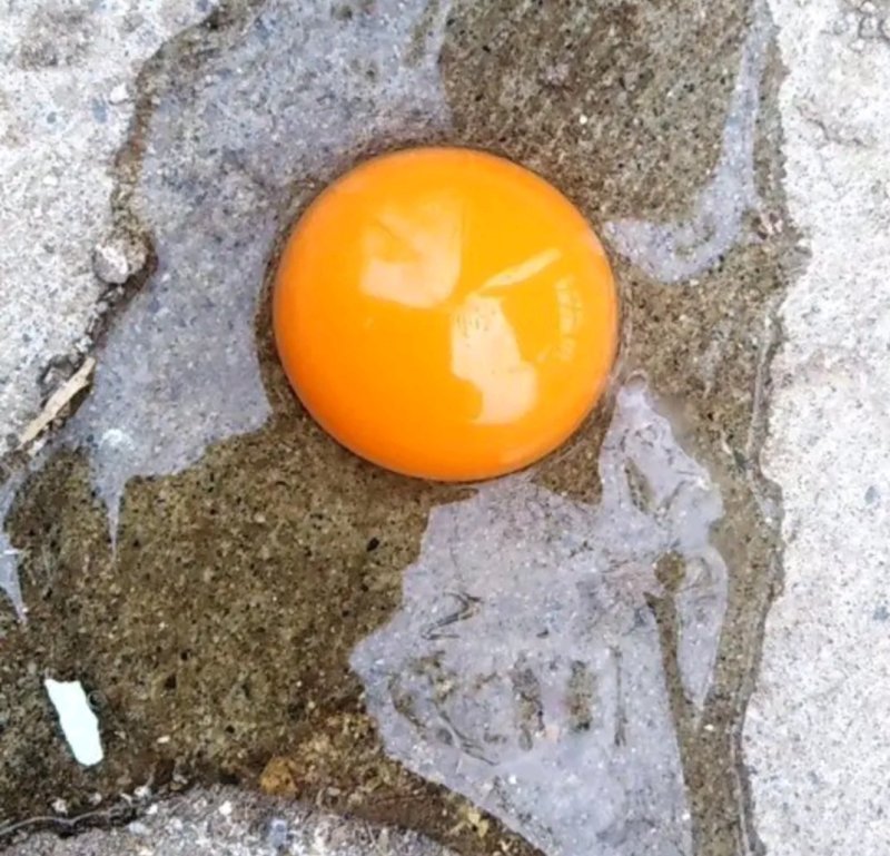 农村土鸡蛋