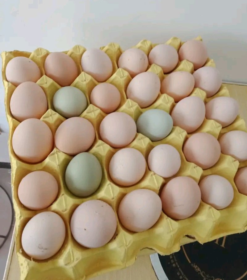 农村土鸡蛋