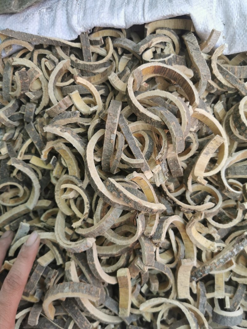 合欢皮产地直销量大从优一手货源