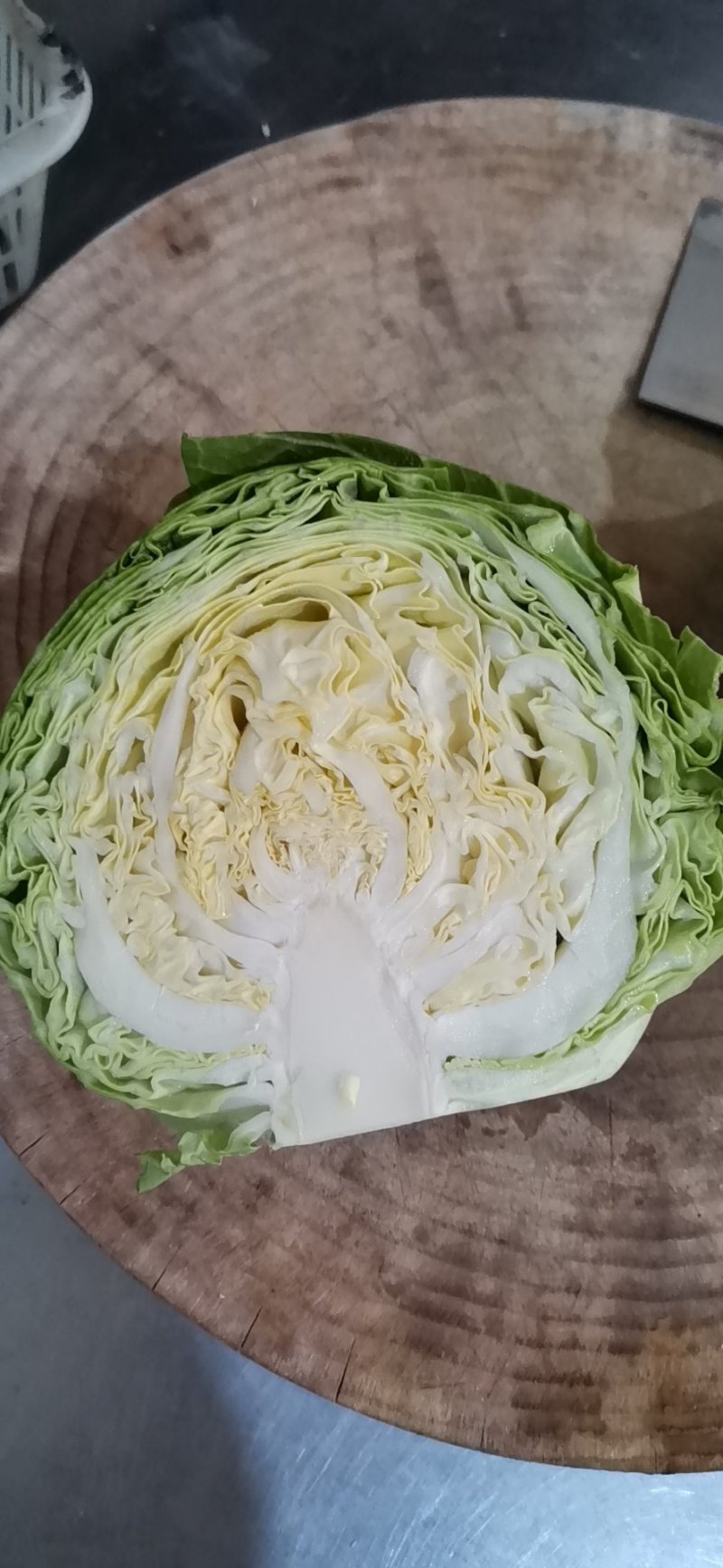 圆包菜甘蓝现摘现发货源充足新鲜直达