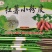 纯红薯小粉皮自然晾晒风干工艺，耐煮劲道，干净卫生无胶无添