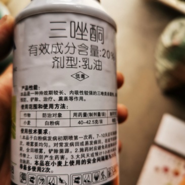 三唑酮三唑铜果树锈病月季药多肉药花卉白粉病杀菌剂粉锈宁