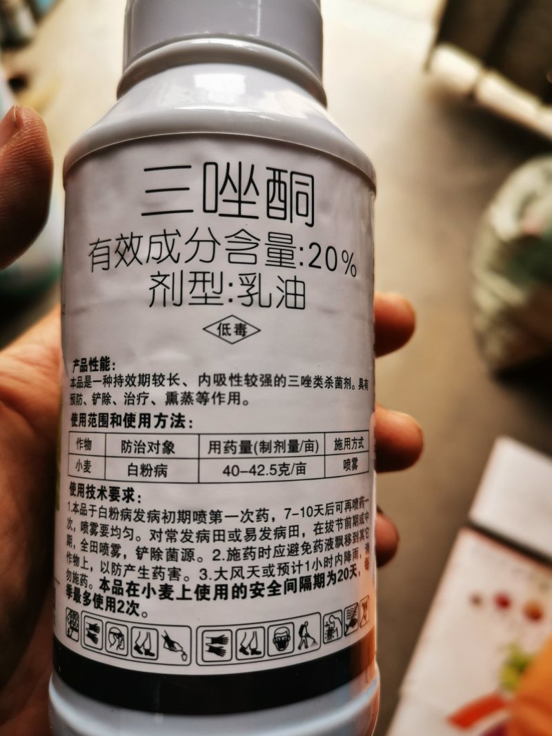 三唑酮三唑铜果树锈病月季药多肉药花卉白粉病杀菌剂粉锈宁