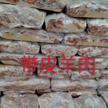 内蒙古退毛带皮羊肉大量有货厂家直销
