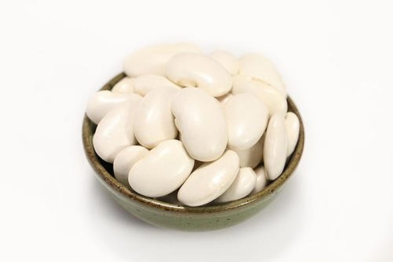 白刀豆，常年批发供应白刀豆中药材