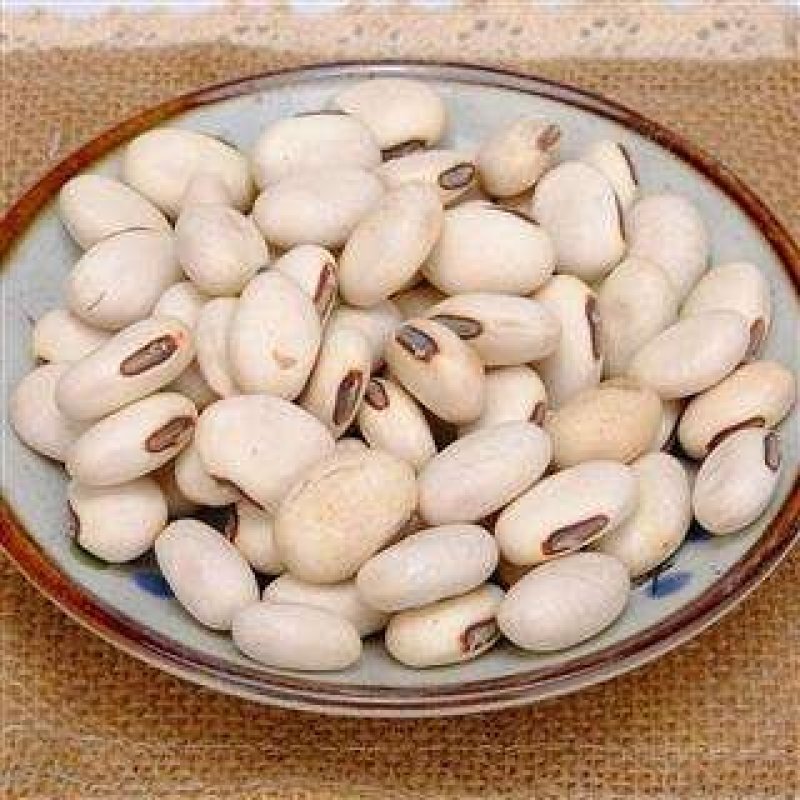 白刀豆，常年批发供应白刀豆中药材