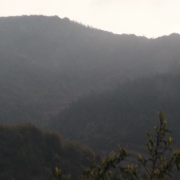山地