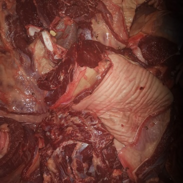 驴肉