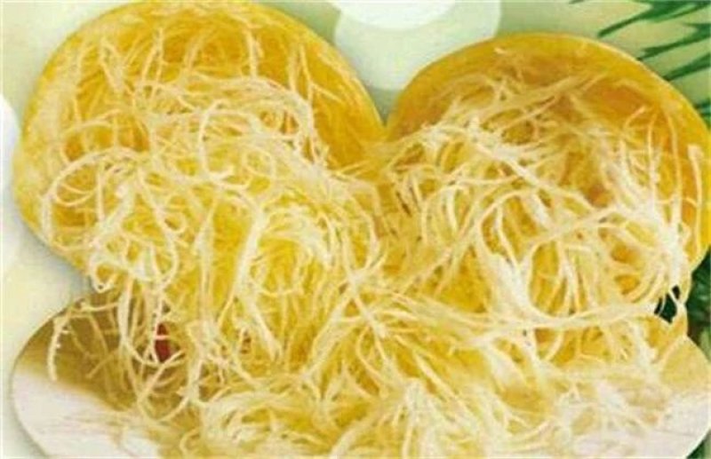 预售100万斤金丝搅瓜