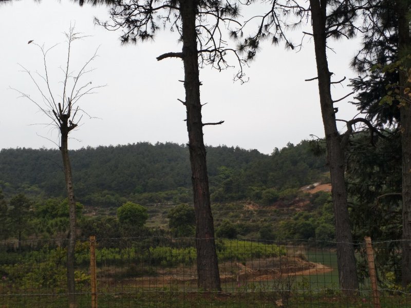 山地