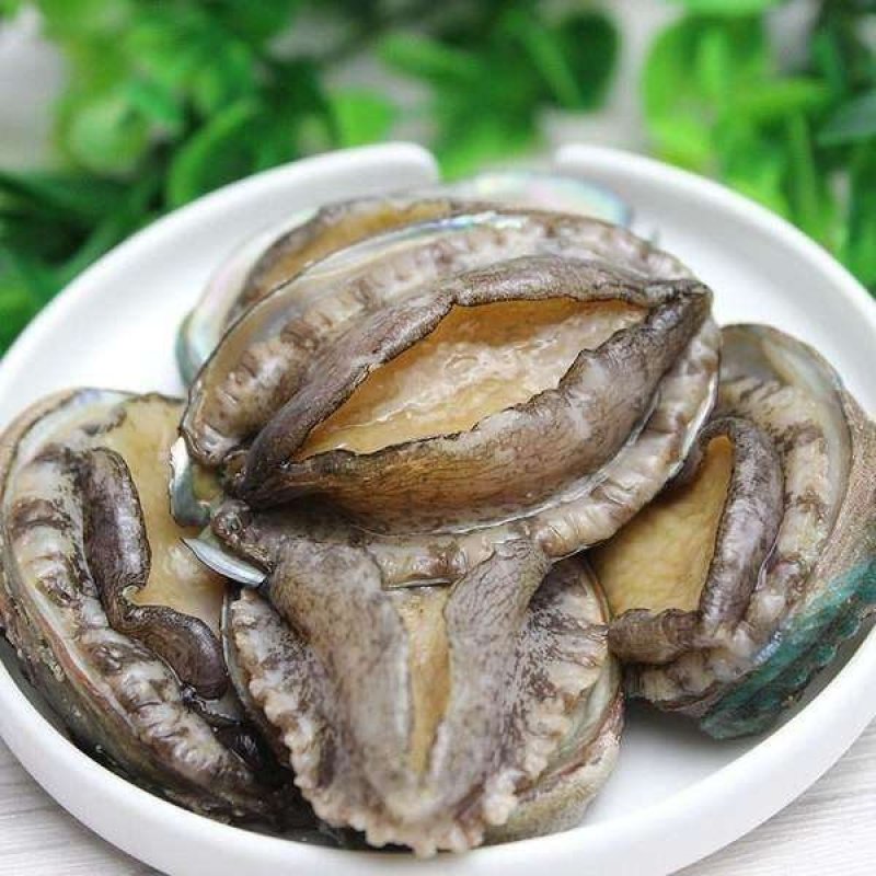 鲍鱼6头15头都有活鲍速冻漂烫锁鲜脆爽不硬
