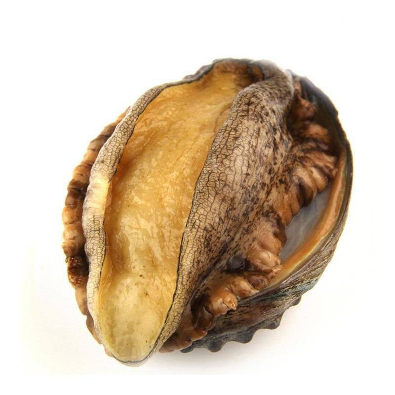 鲍鱼6头15头都有活鲍速冻漂烫锁鲜脆爽不硬