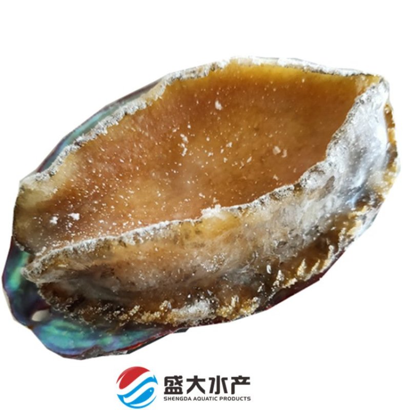 鲍鱼6头15头都有活鲍速冻漂烫锁鲜脆爽不硬