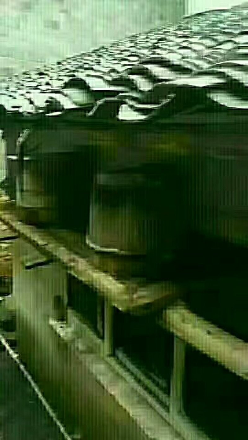 农家土蜂蜜