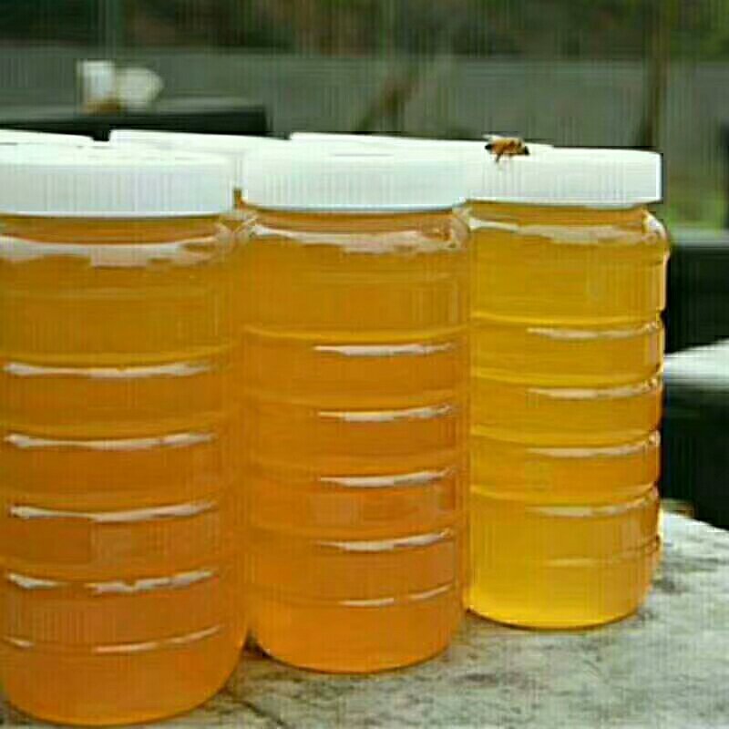 农家土蜂蜜