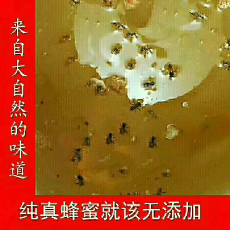 农家土蜂蜜