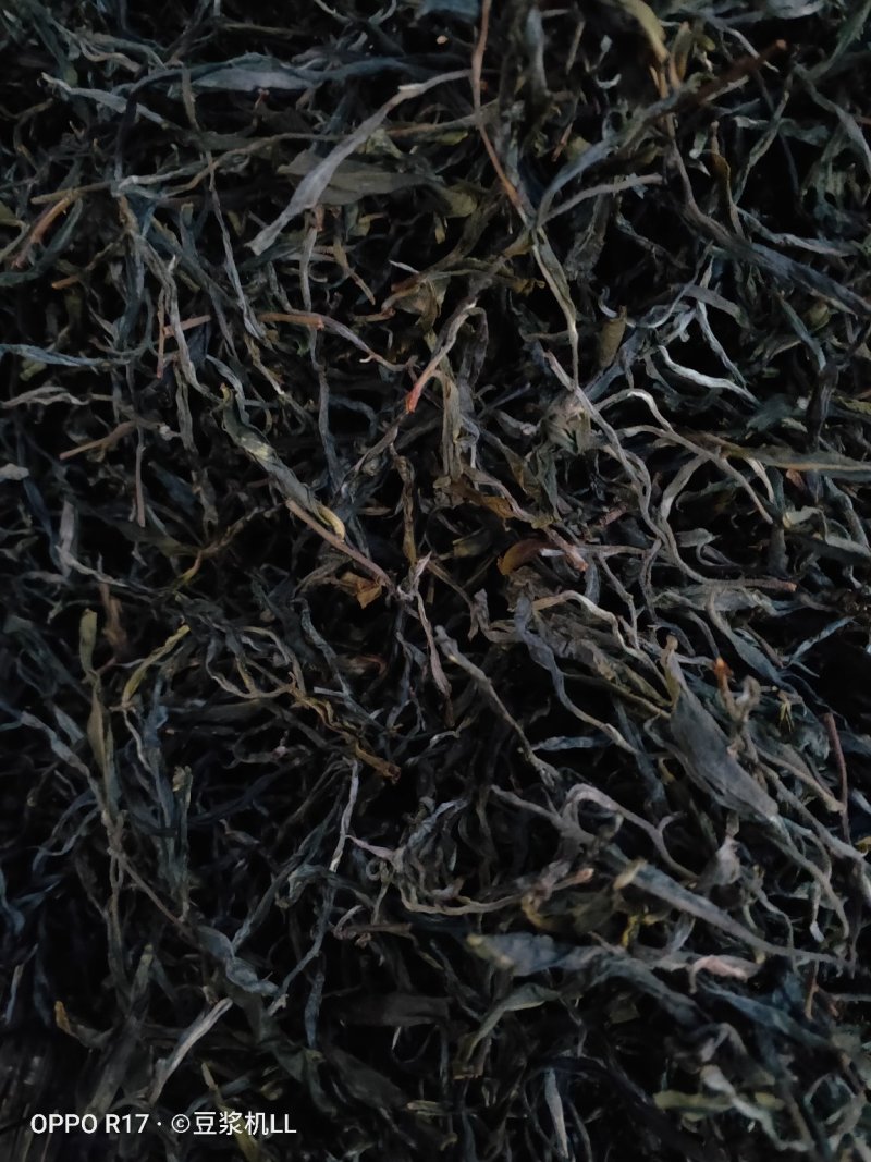 普洱茶古树黑条茶