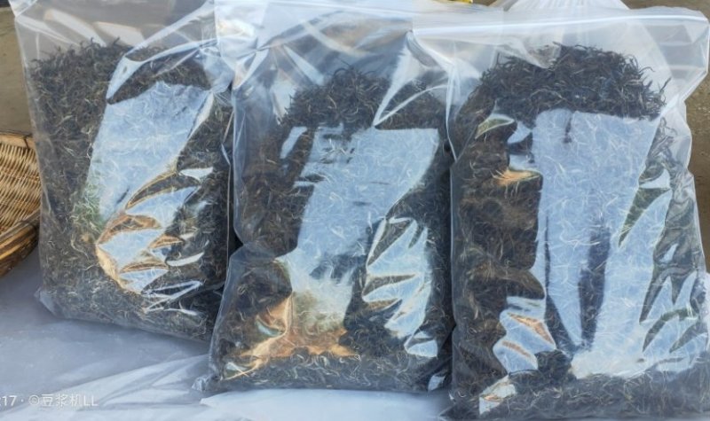 普洱茶古树黑条茶