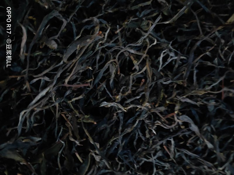 普洱茶古树黑条茶