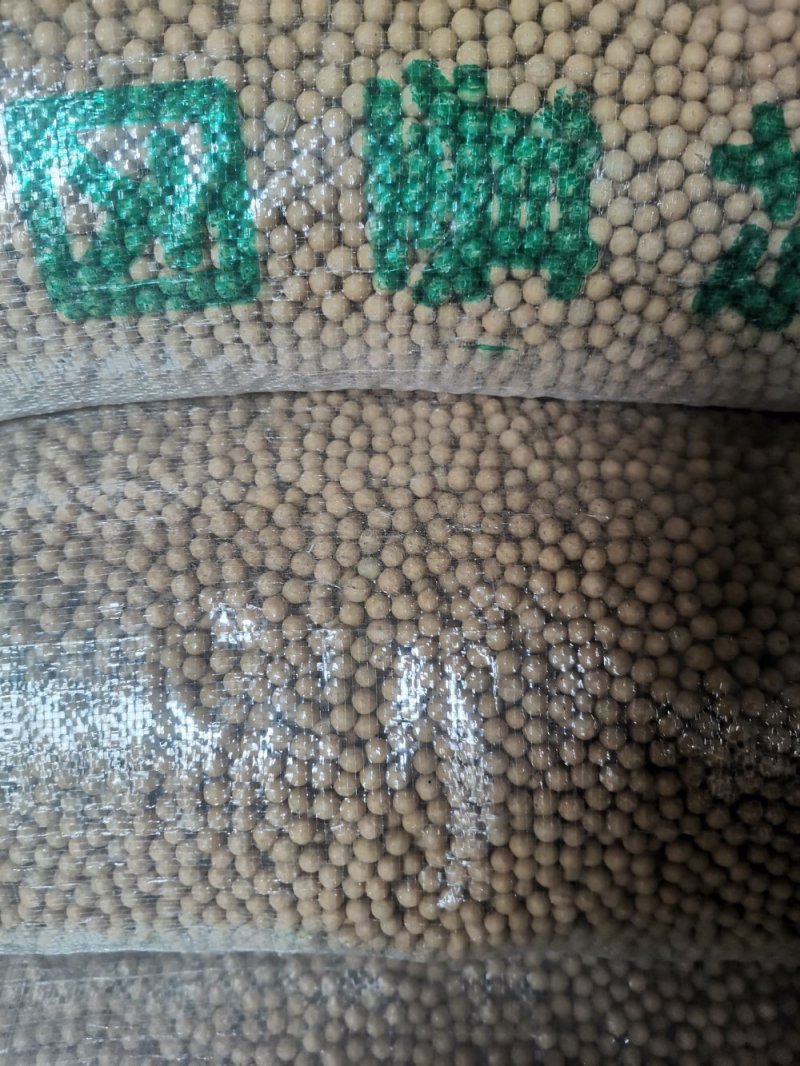 蛋白42，东升1，豆制品专用大豆