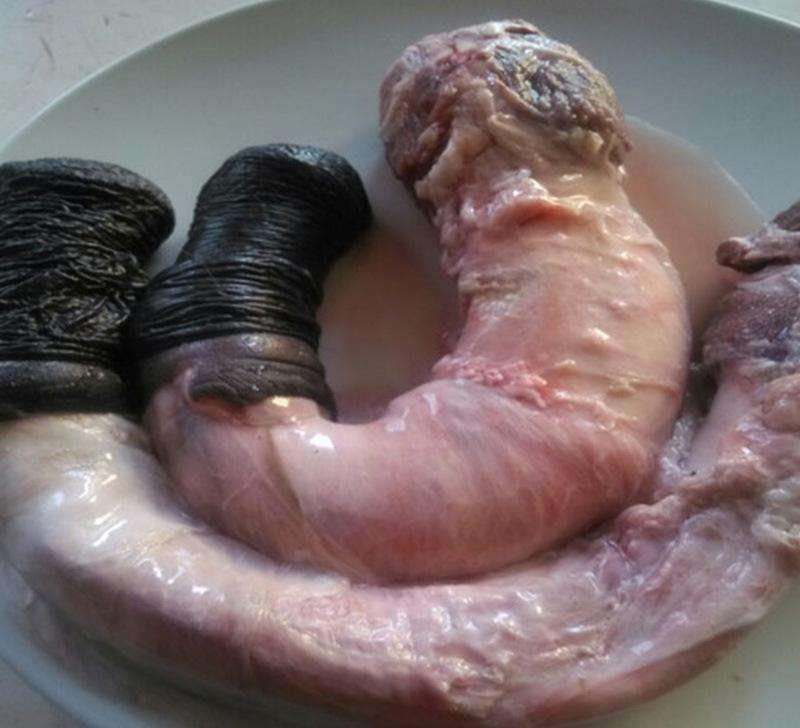 驴鞭