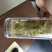 黄山毛峰雨前茶新茶绿茶高山茶二级口粮茶香浓耐泡
