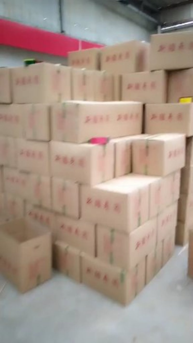 食品厂专用打粉新疆灰枣小圈