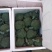 西兰花基地供应，质量好价格美丽，有收购的朋友联系我