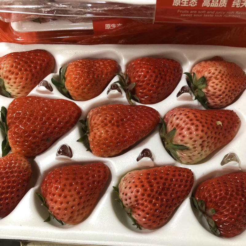 国产精品水果批发新鲜水果巧克力草莓