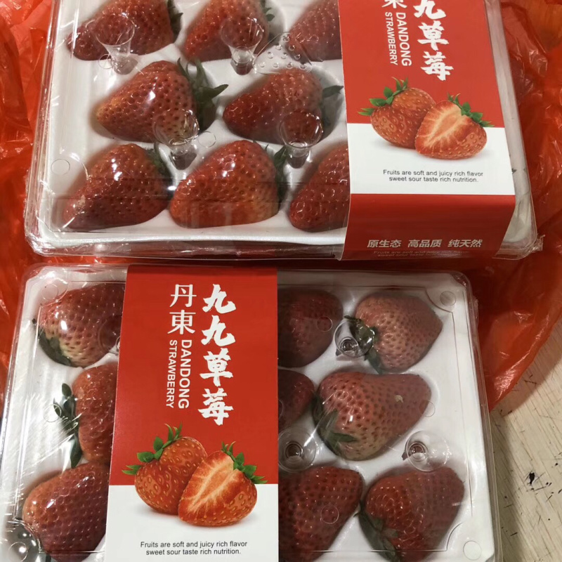 国产精品水果批发新鲜水果巧克力草莓