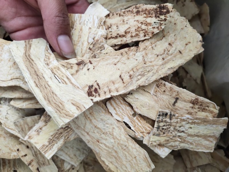 【文斌药业】压片黄芪手掌大黄芪地道药材