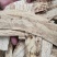 【文斌药业】压片黄芪手掌大黄芪地道药材