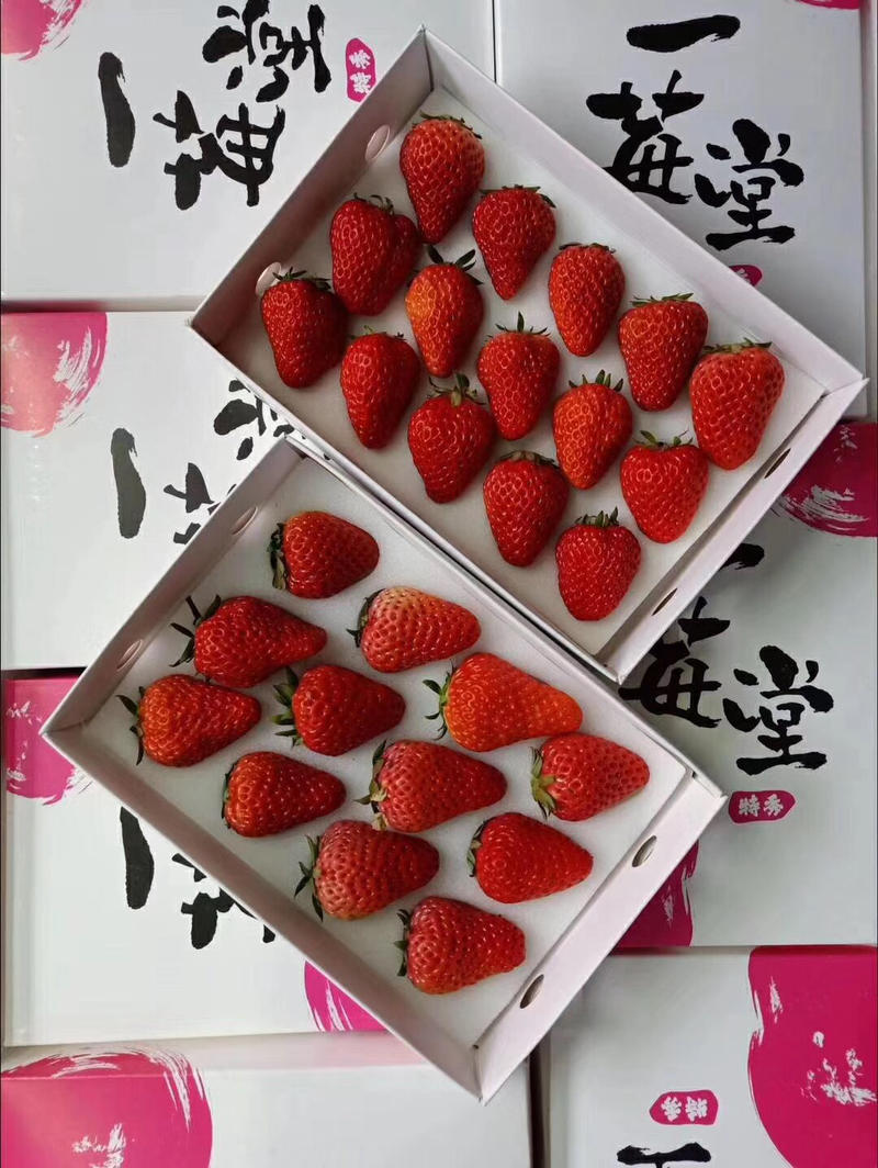 国产精品水果批发新鲜水果巧克力草莓