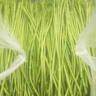 精品芦蒿