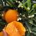 夏橙【产地鲜果，报价真实，果园看果按需订货】全国发货