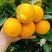夏橙【产地鲜果，报价真实，果园看果按需订货】全国发货