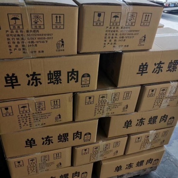 干冰香螺肉好货去黄去脏高温熟煮坐标丹东东港海源水产
