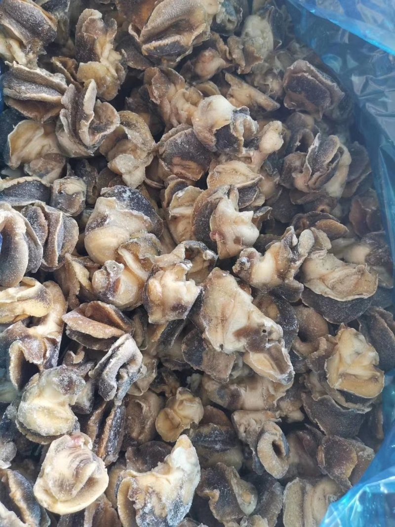 干冰香螺肉好货去黄去脏高温熟煮坐标丹东东港海源水产