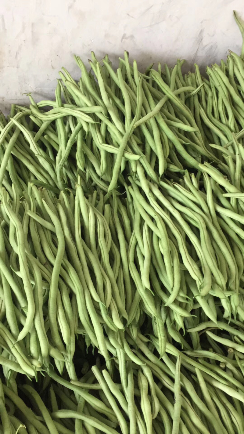 无筋豆大量上市，承接社区平台，电商，批发市场，拖板车
