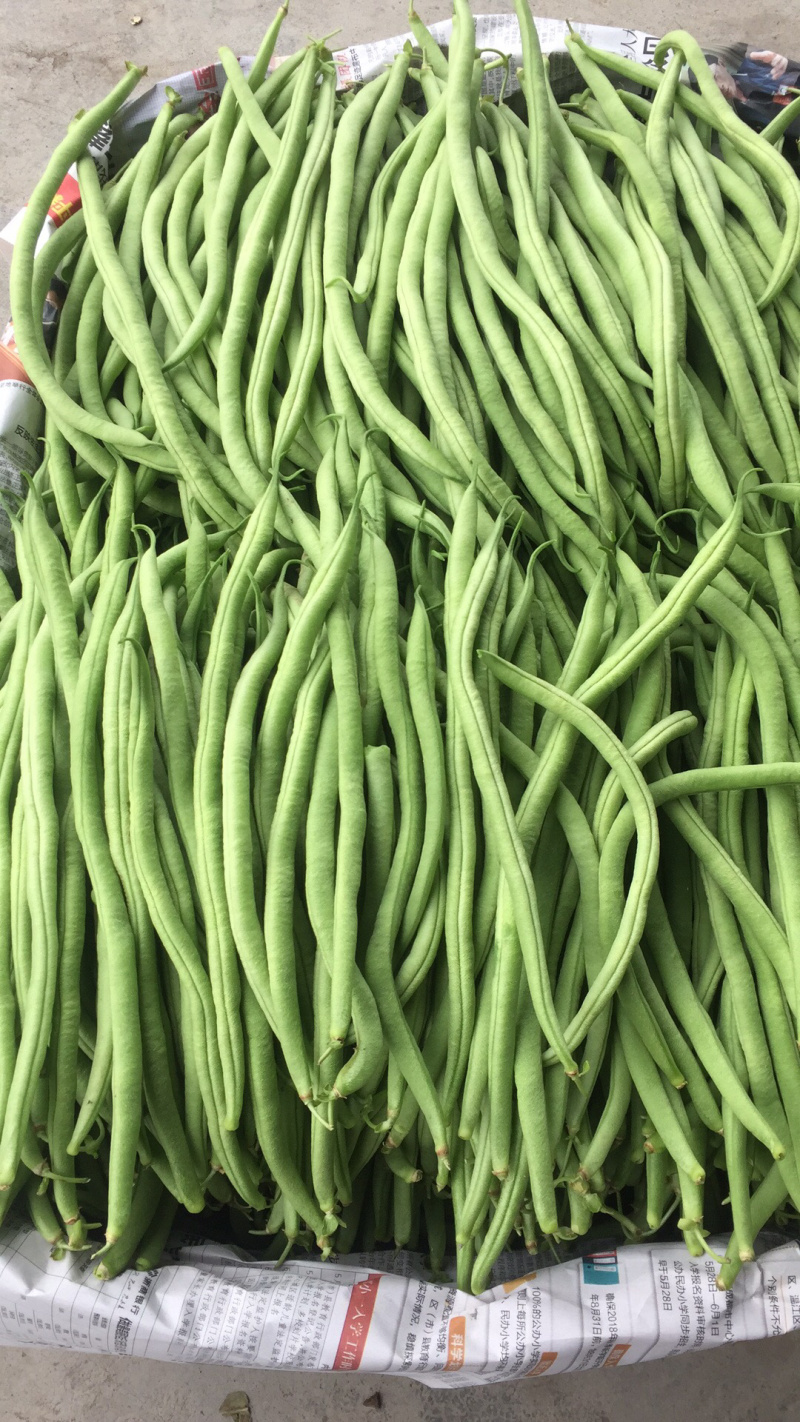 无筋豆大量上市，承接社区平台，电商，批发市场，拖板车