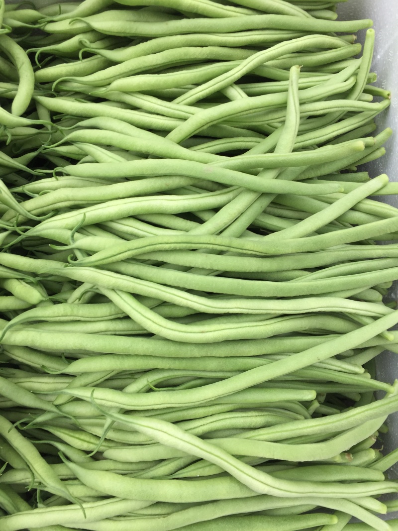 无筋豆大量上市，承接社区平台，电商，批发市场，拖板车