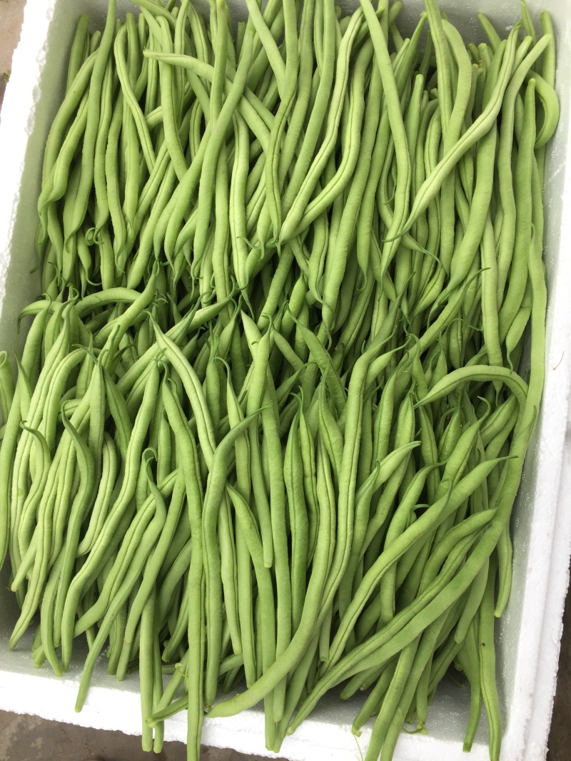 无筋豆大量上市，承接社区平台，电商，批发市场，拖板车