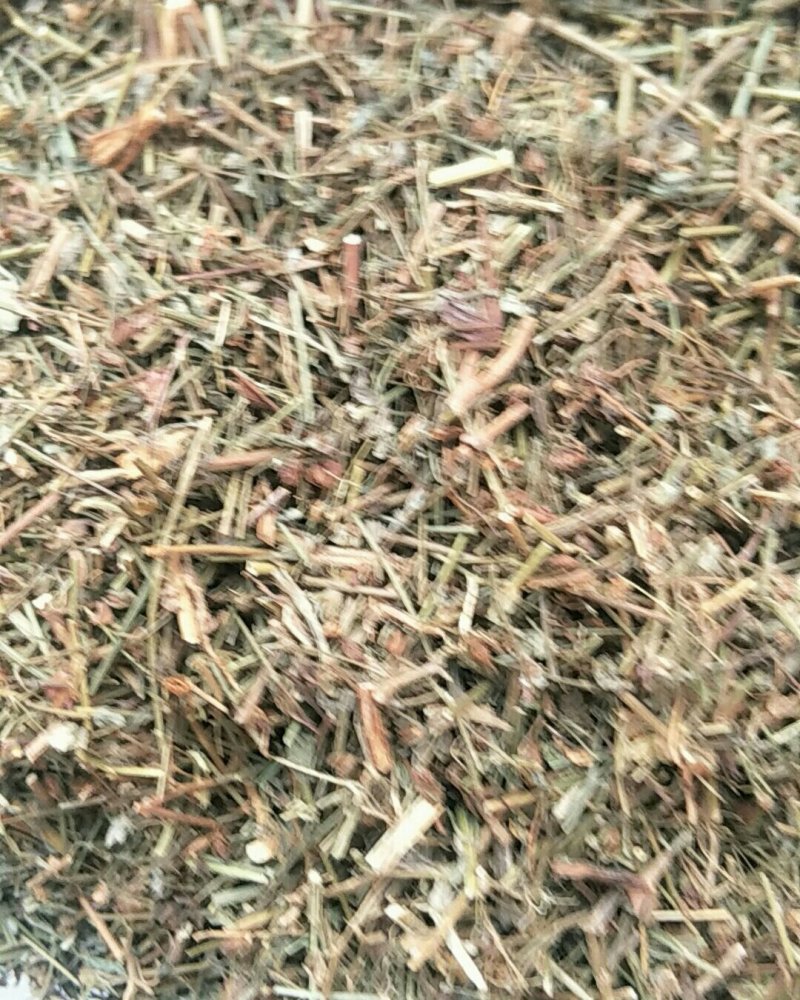 地耳草，常年批发供应野生地耳草，田基黄，中药材