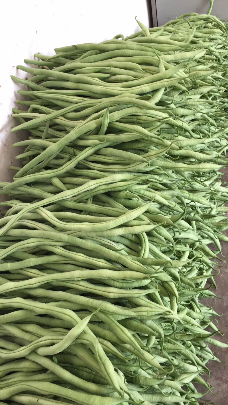 无筋豆大量上市，承接社区平台，电商，批发市场，拖板车