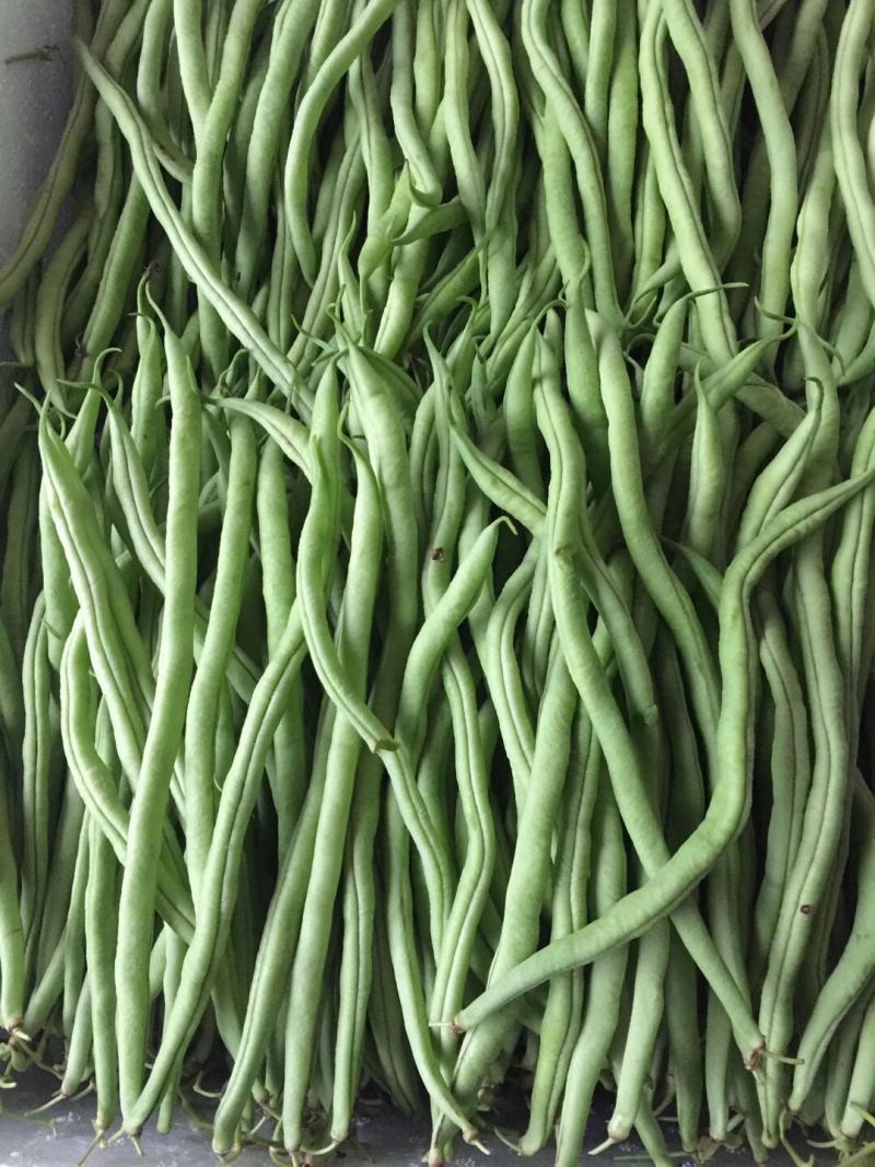 无筋豆大量上市，承接社区平台，电商，批发市场，拖板车