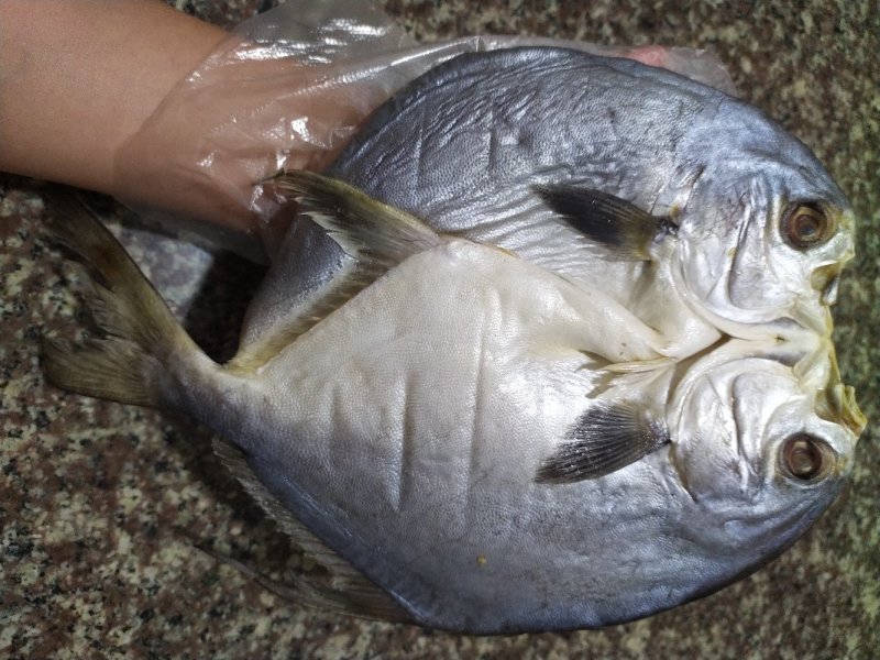 金鲳鱼干