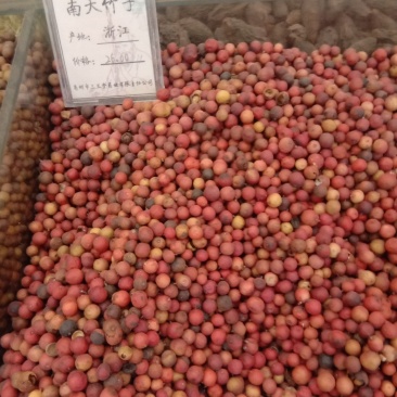 南天竹子，常年批发供应冷背中药材