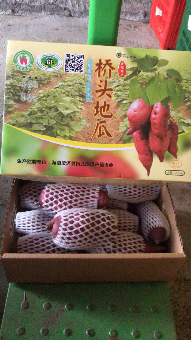 海南澄迈桥头地瓜高系十四品种产地种植量大从优