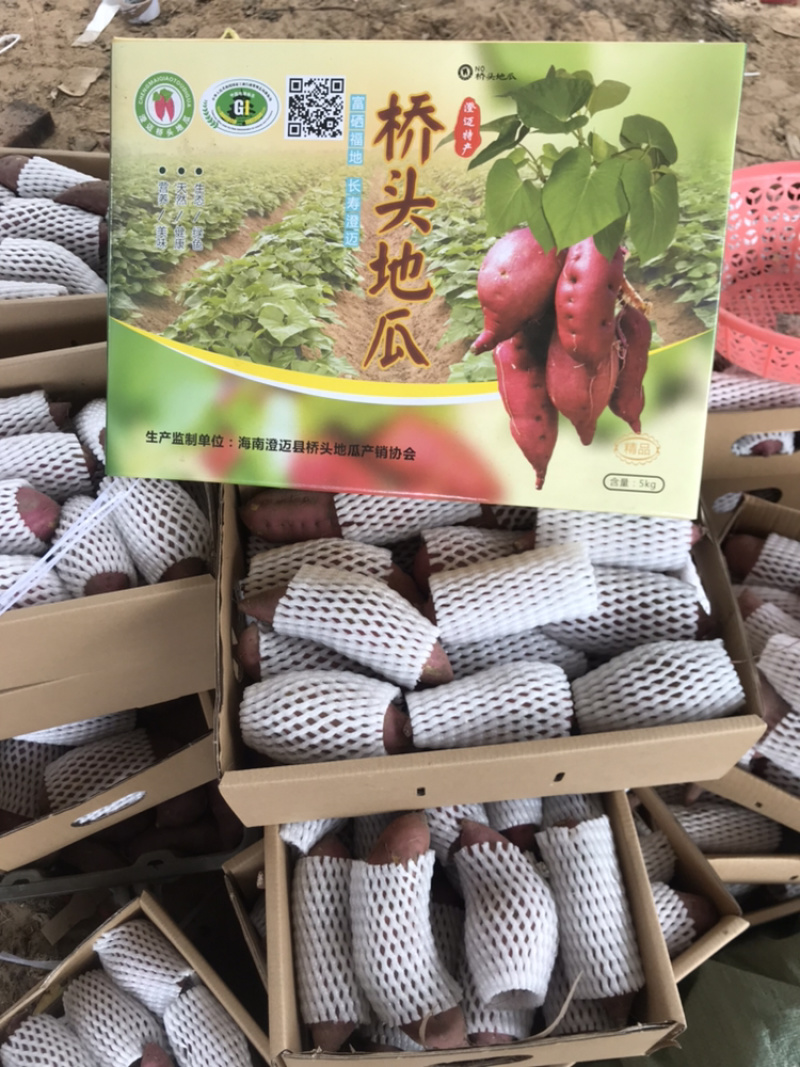 红薯海南澄迈桥头富硒板栗地瓜产地种植量大从优