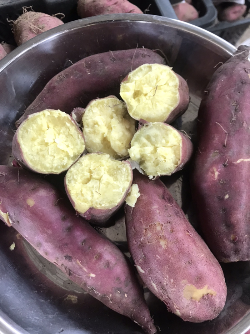 红薯海南澄迈桥头富硒板栗地瓜产地种植量大从优